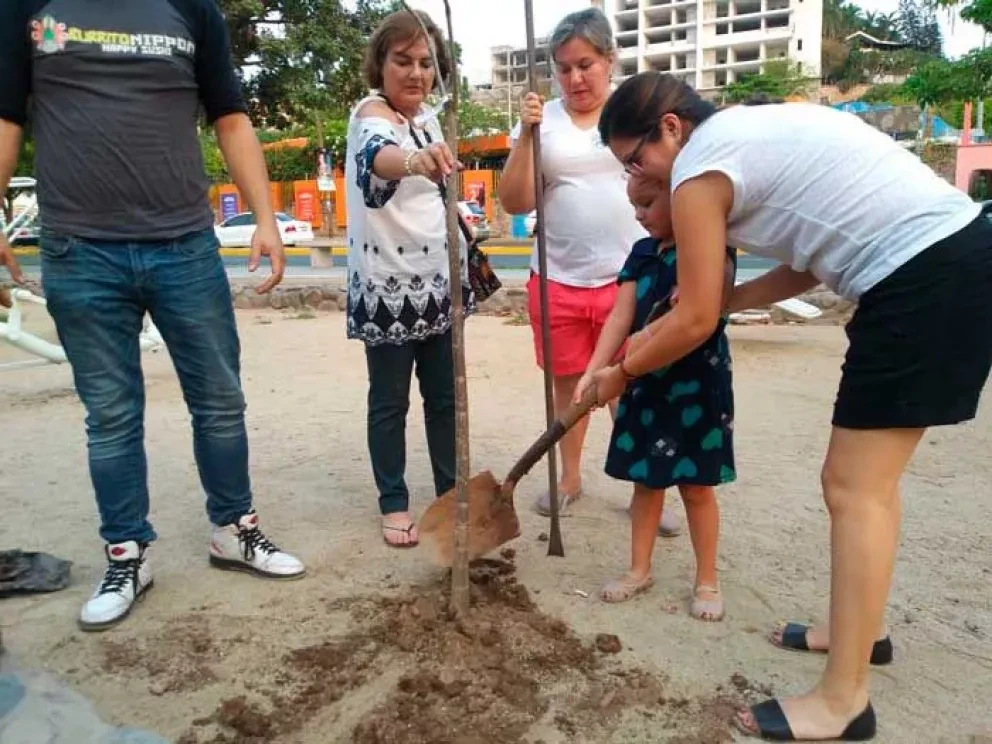Participación ciudadana para la construcción de Paz en México