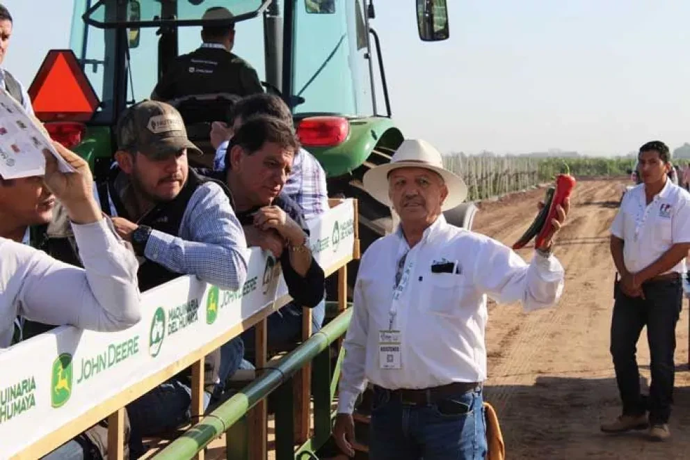 Asómate a ver la validación de hortalizas y nutrientes en Agroinnova 2019