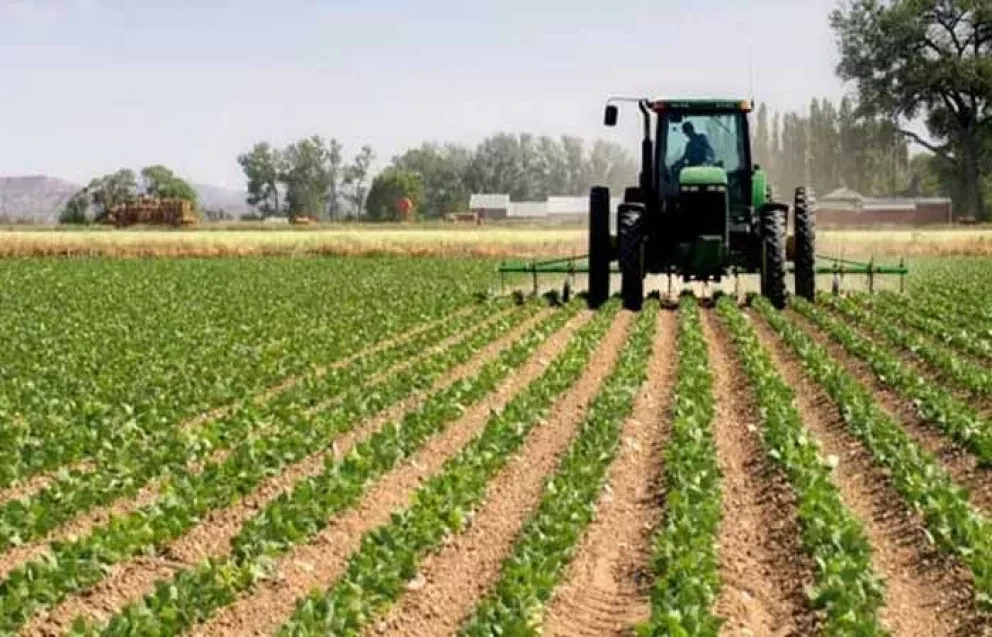 Algo de historia de la agricultura de Sinaloa