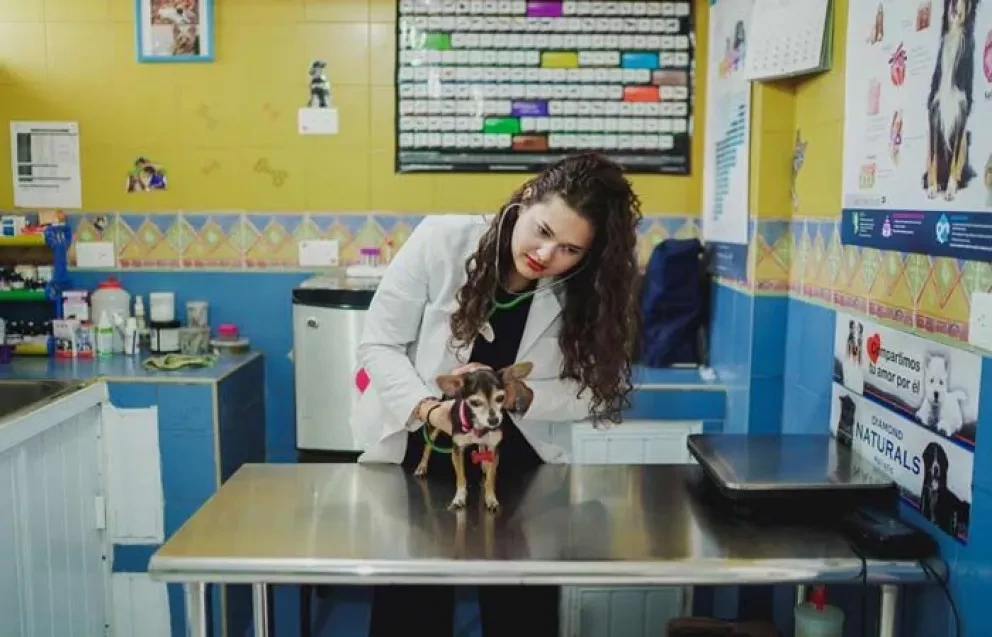 Consejos para cuidar a las mascotas en tiempos de Coronavirus