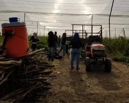 Trabajadores agrícolas enfrentan la pandemia en Villa Juárez