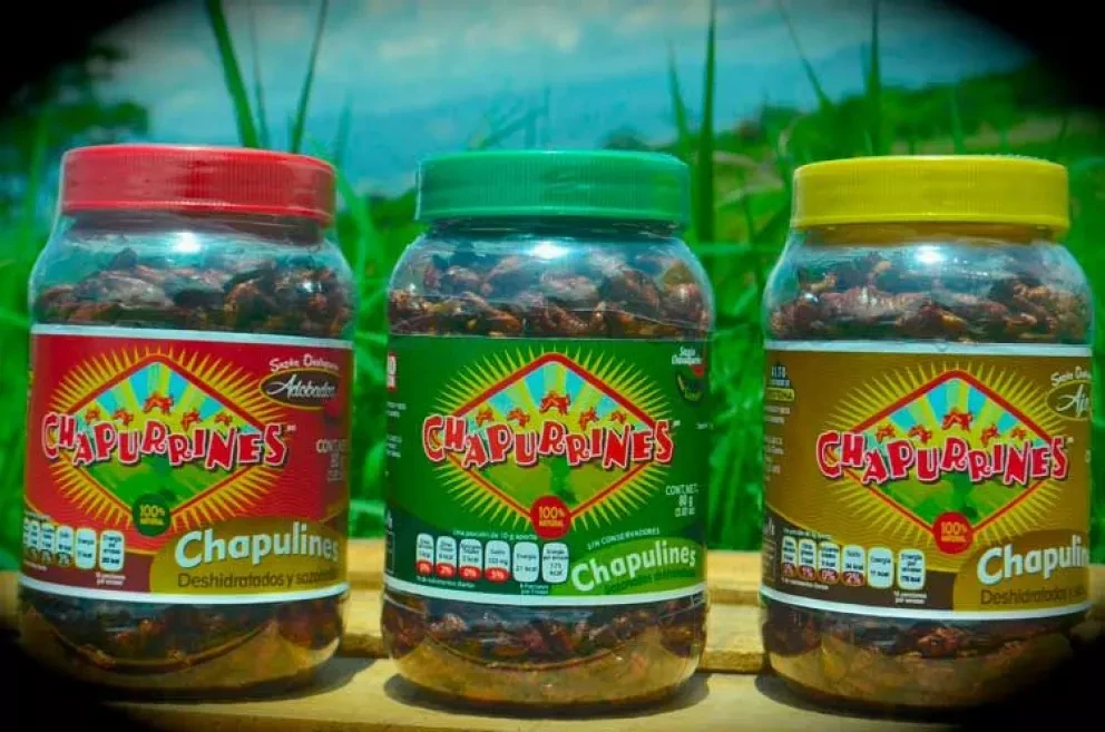 De Oaxaca, salsa de chapulín conquistan Shark Tank México