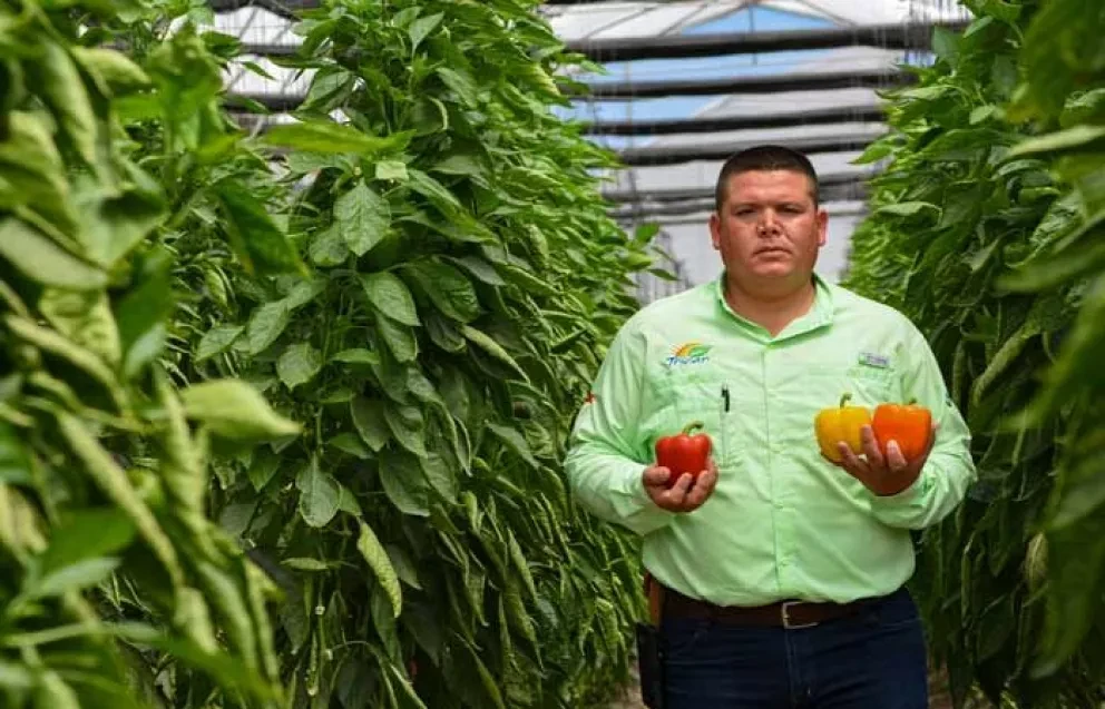 Nació en la Agrícola el Porvenir y ahora es ingeniero del campo