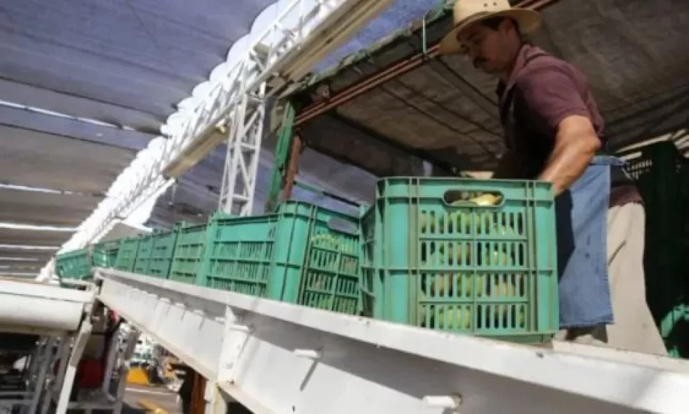 Sinaloa segundo lugar nacional en Índice de Progreso Social