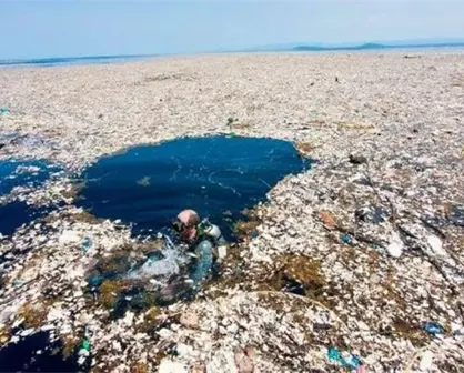 Los plásticos terrestres en el mar, un problemón ambiental (parte 1)