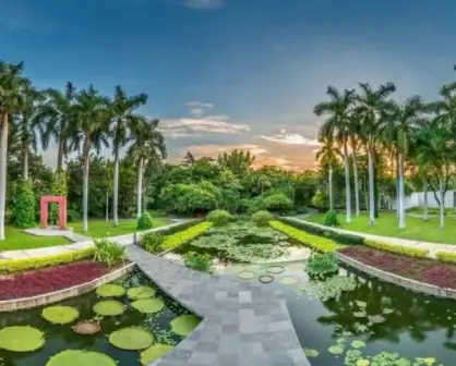 Una buena nueva del Jardín Botánico de Culiacán