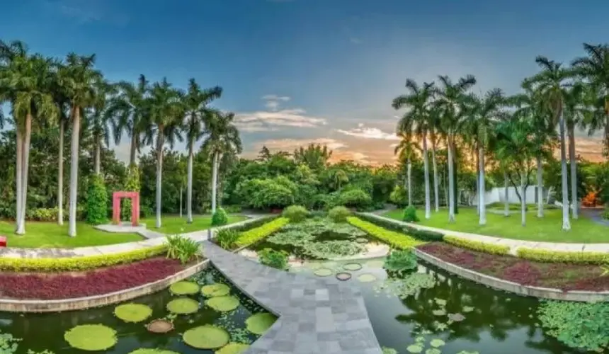 Una buena nueva del Jardín Botánico de Culiacán