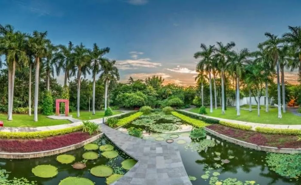 Una buena nueva del Jardín Botánico de Culiacán