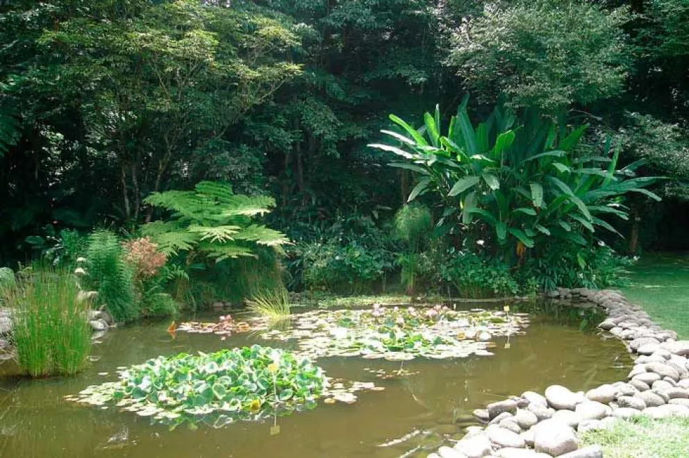 Jardín botánico de Xalapa, uno de los mejores en Norteamérica
