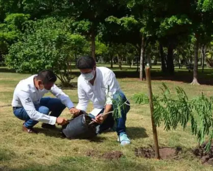 Entrega SEDESU 3 mil plantas regionales a Jardín Botánico de Los Mochis