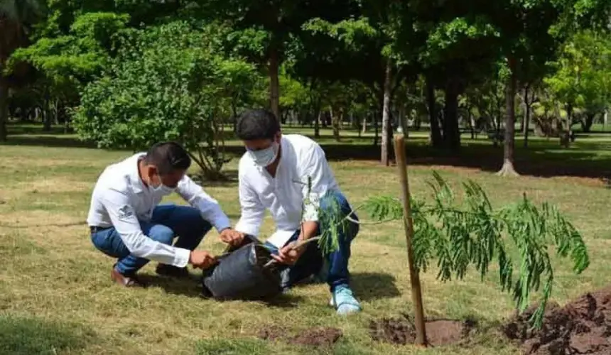 Entrega SEDESU 3 mil plantas regionales a Jardín Botánico de Los Mochis