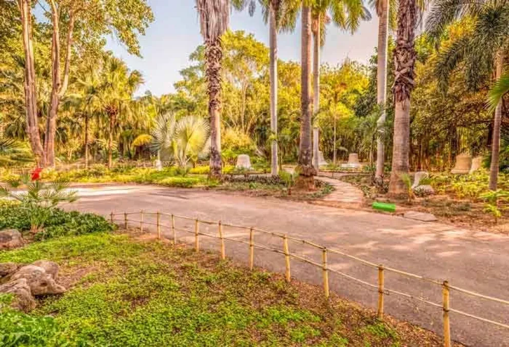 ¿Vamos a la fiesta de los 90s en el Botánico?