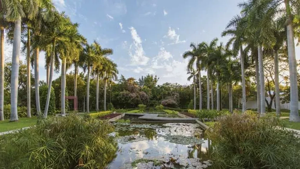 Aprovecha el Internet gratis del Jardín Botánico ¡Conéctate!