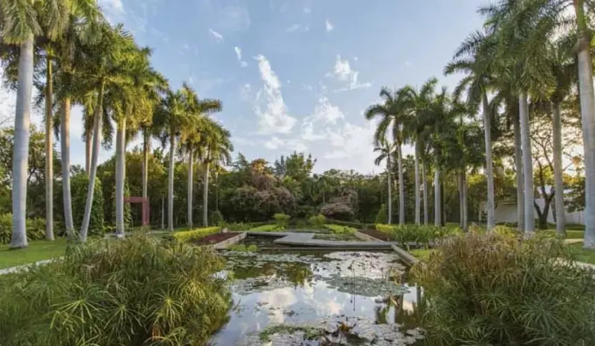 Aprovecha el Internet gratis del Jardín Botánico ¡Conéctate!