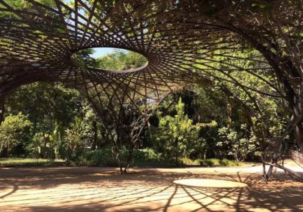 El jardín botánico está de fiesta. Celebremos al ‘pulmón’ de Culiacán