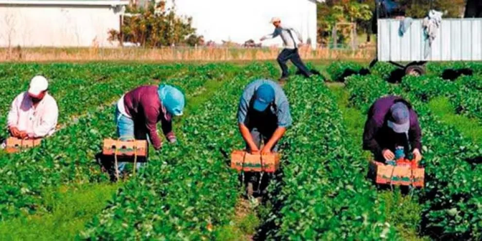 5 cuidados básicos de la salud del jornalero agrícola