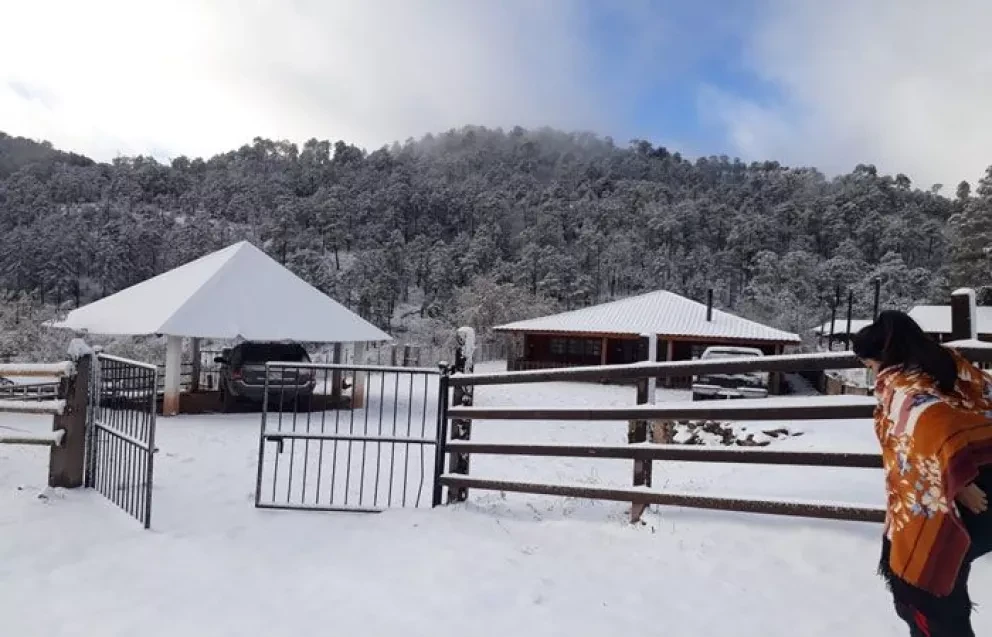 Cada frente frío prepárate para la nieve en Sinaloa