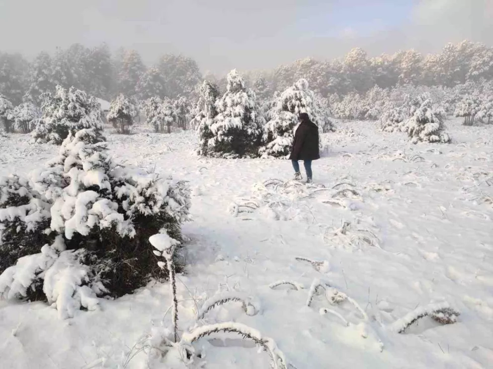 La ruta Badiraguato Parral se viste de nieve