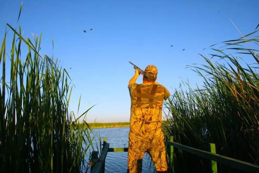 La Laguna de Chiricahueto, un sorprendente pantano de Navolato y Culiacán