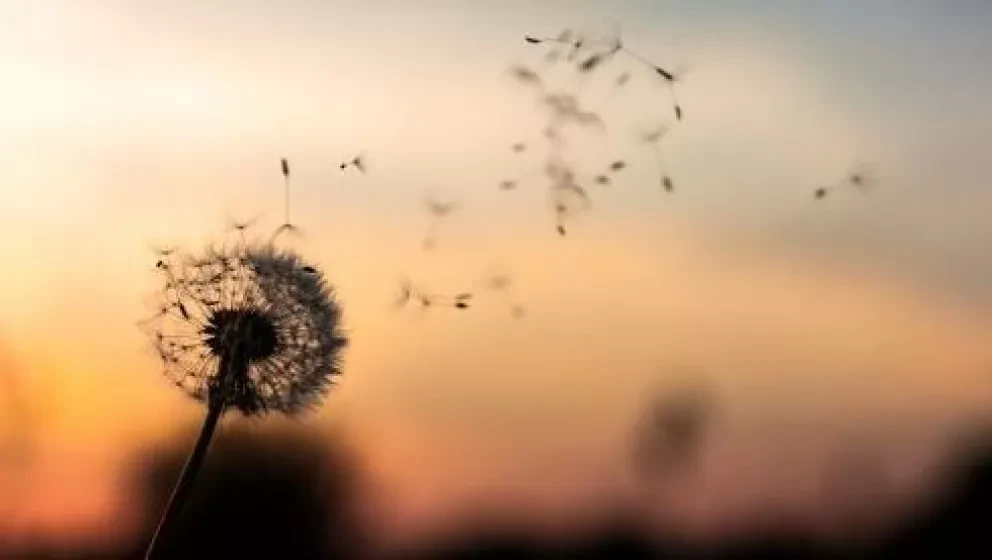 7 lecciones que debes aprender temprano en la vida