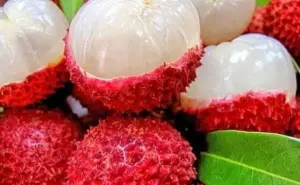 5 recetas con lichis que puedes preparar