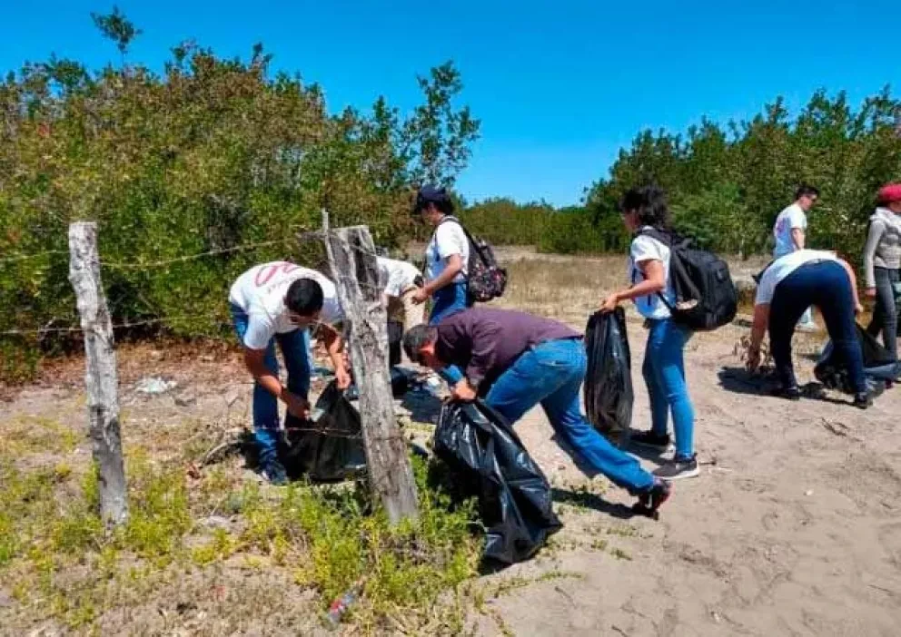 ¡Llegó la hora de limpiar la playa!