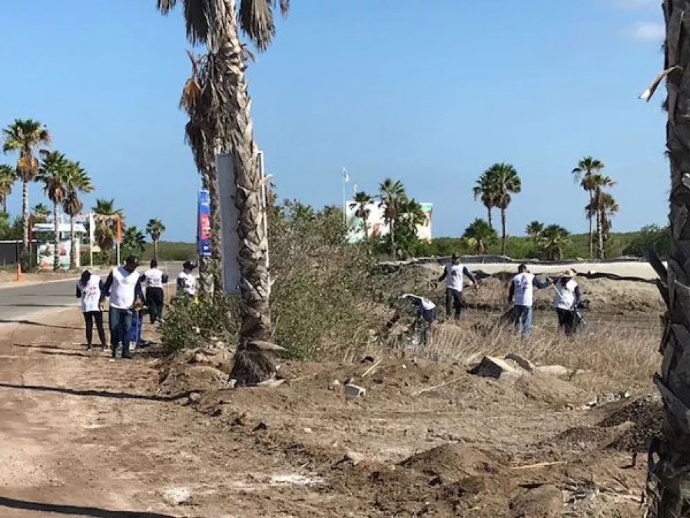 Campaña de limpieza en la marina de Altata
