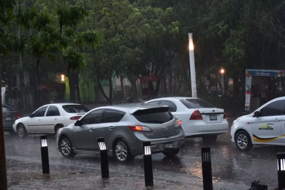 ¿Los árboles tienen algo que ver con las lluvias?