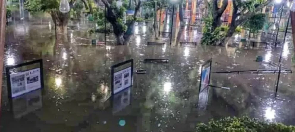 Damnificados reciben apoyo de manera directa