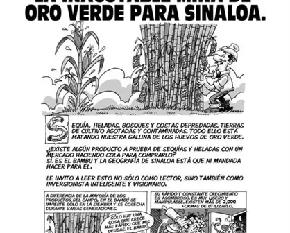 Disminuyen 44% siniestros viales en Culiacán