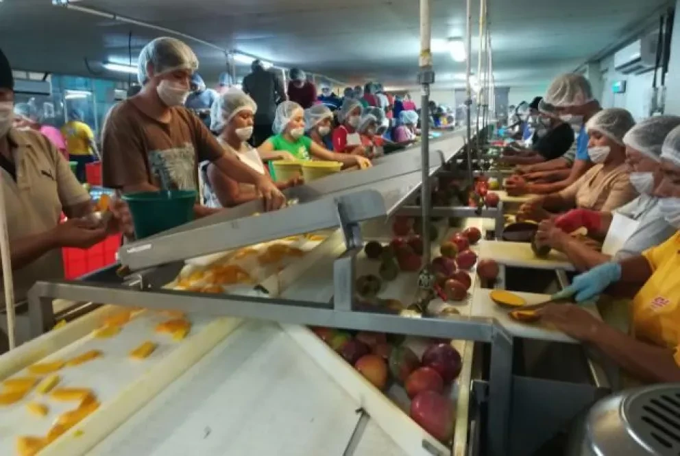 Realiza la UTE en Escuinapa Congreso Nacional de Mango