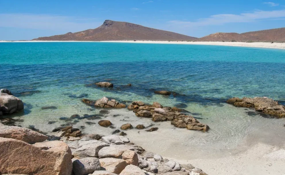 El mar de Cortés es el “acuario del mundo”