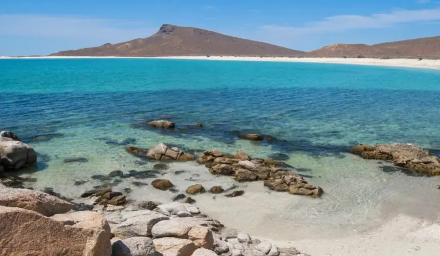 El mar de Cortés es el “acuario del mundo”