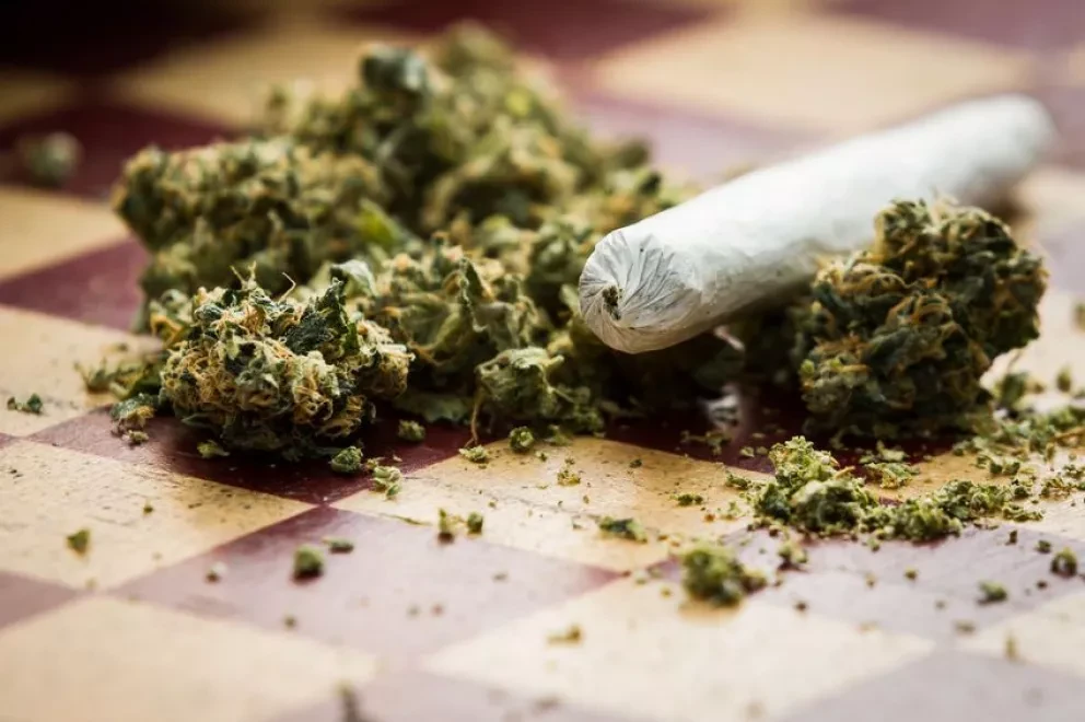 Las drogas destruyen las ganas de vivir