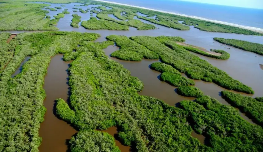 4 lugares de Sinaloa bajo conservación internacional de aves que no sabías