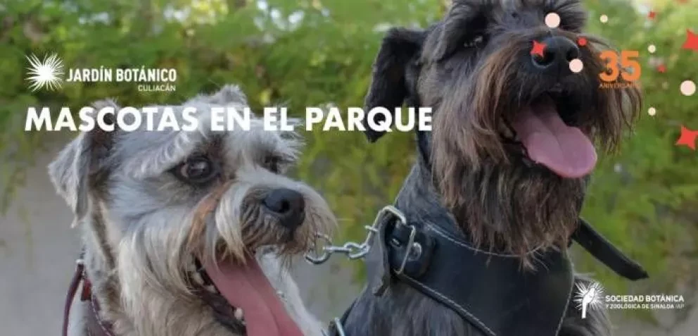 Disfruta del jardín con mascotas en el parque, ¡involúcrate!