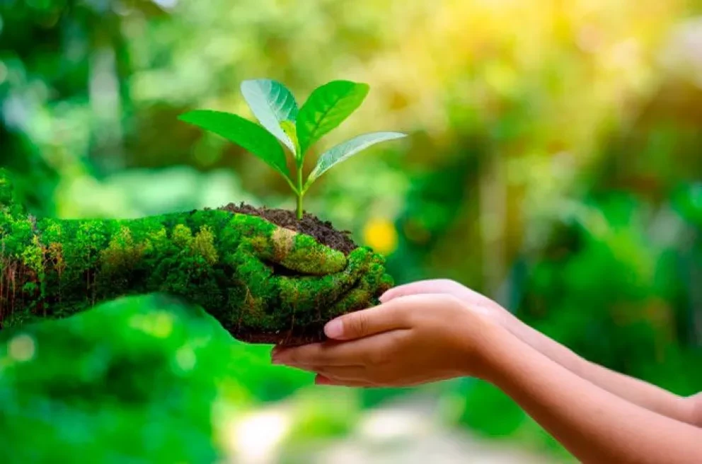 4 acciones en beneficio al medio ambiente... además de reciclar