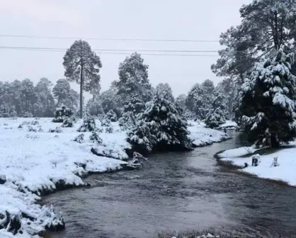 Mexiquillo se viste de nieve para turistas invernales de Sinaloa