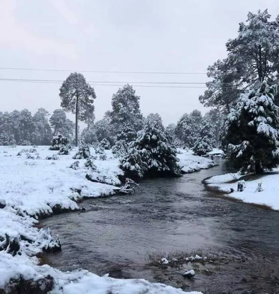 Mexiquillo se viste de nieve para turistas invernales de Sinaloa