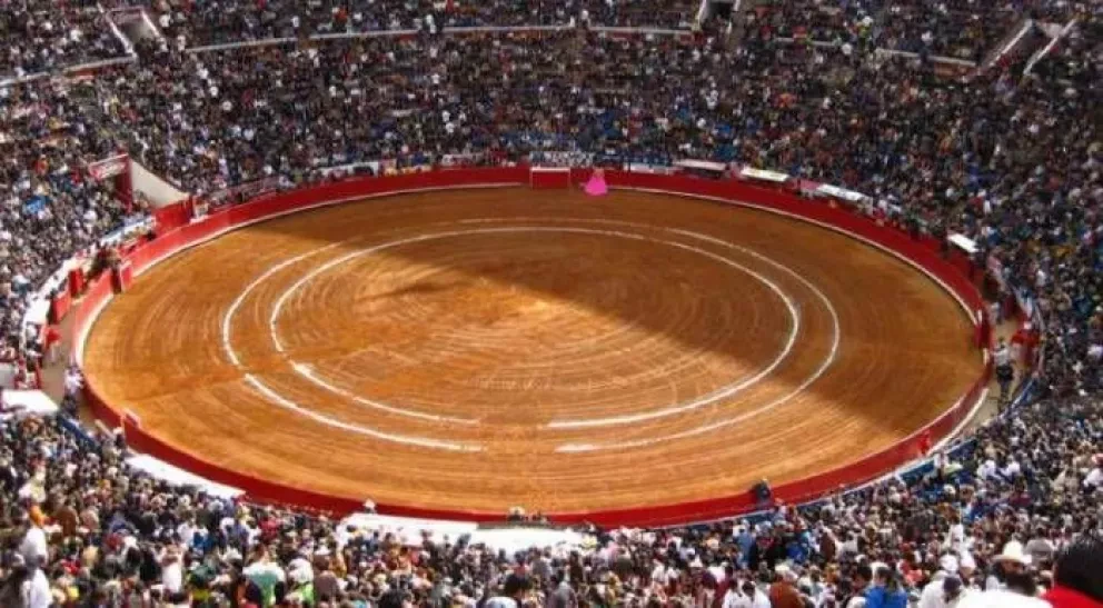 Buscan ponerle fin a corridas de toros en CDMX