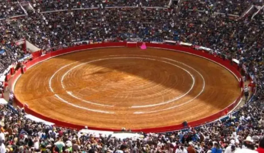 Buscan ponerle fin a corridas de toros en CDMX