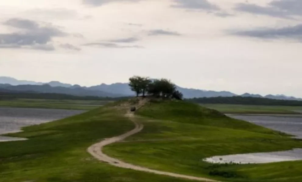 Culichis buscan sancionar a personas que dañan Narnia, Sinaloa