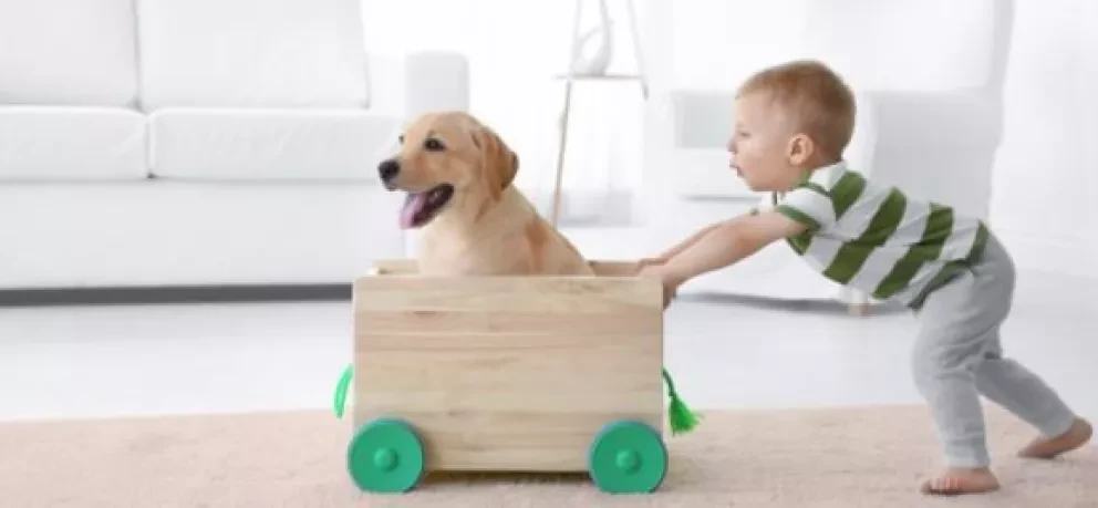 4 consejos sobre el cuidado de animales para niños