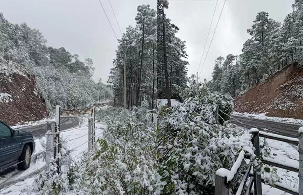 (VIDEO) Nieve en Badiraguato cubre la sierra de paisaje invernal