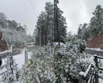 (VIDEO) Nieve en Badiraguato cubre la sierra de paisaje invernal