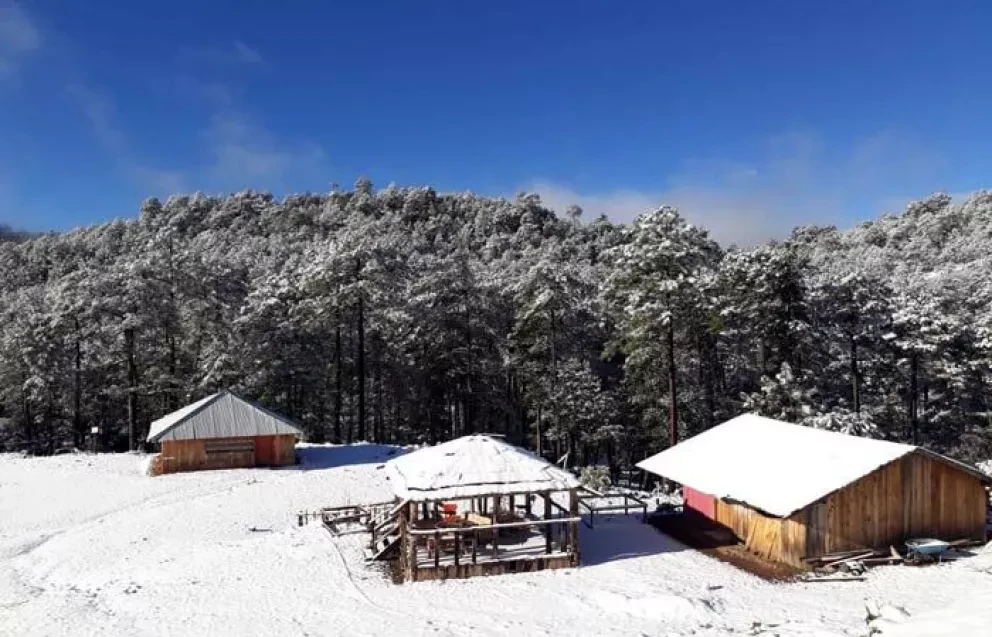 ¿Crees que pudiera caer nieve en Culiacán?