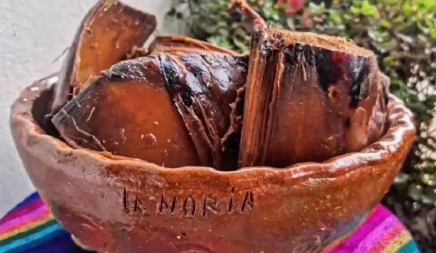 El melchonte o maguey horneado una tradición que perdura al sur de Sinaloa