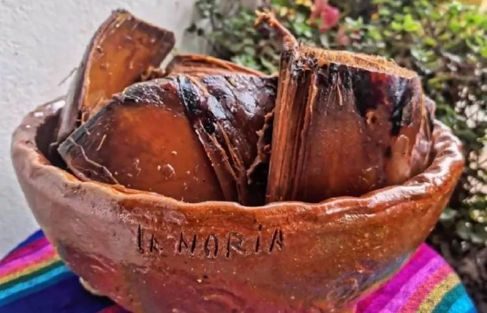 El melchonte o maguey horneado una tradición que perdura al sur de Sinaloa