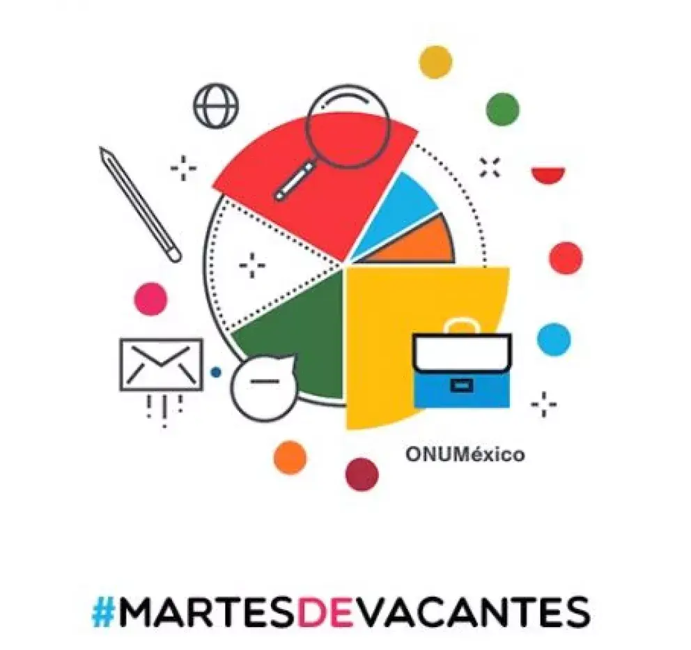 14 oportunidades de trabajo en ONU México