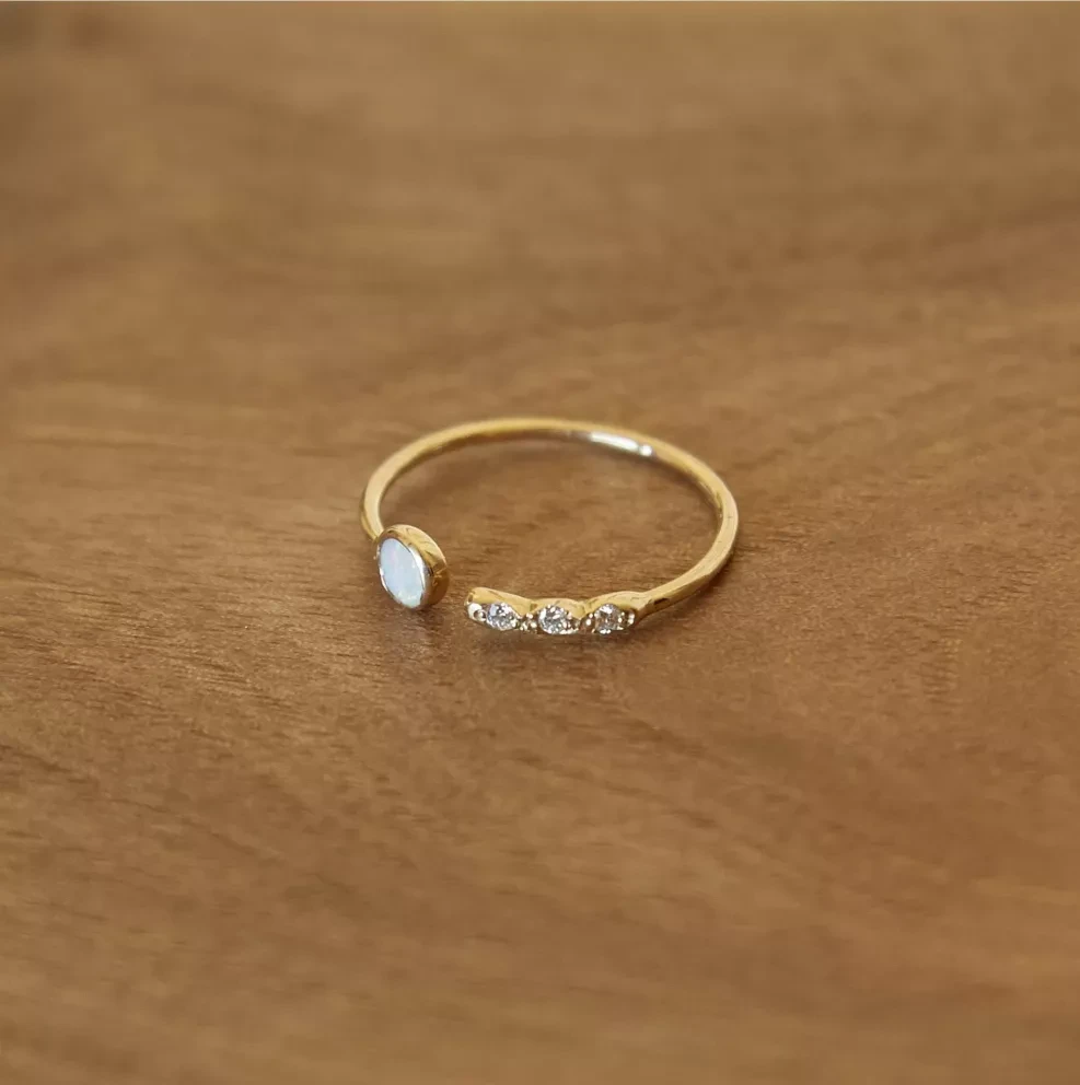 Diseñan joyas con materiales desechables